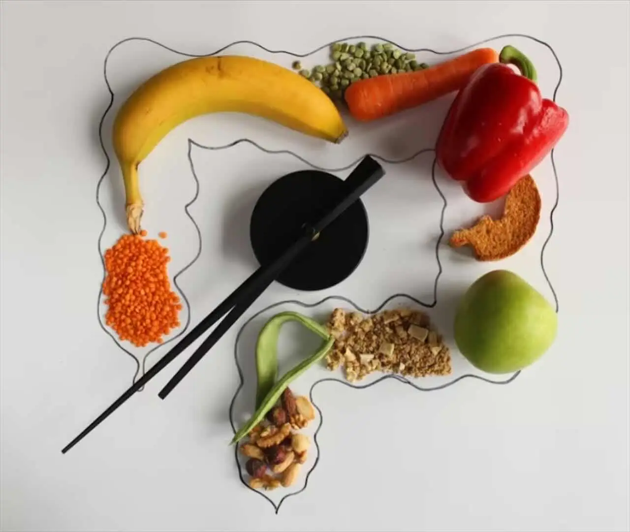 Il tuo sistema digerente fa questo lavoro incredibile ogni giorno: ecco cosa succede nel tuo corpo