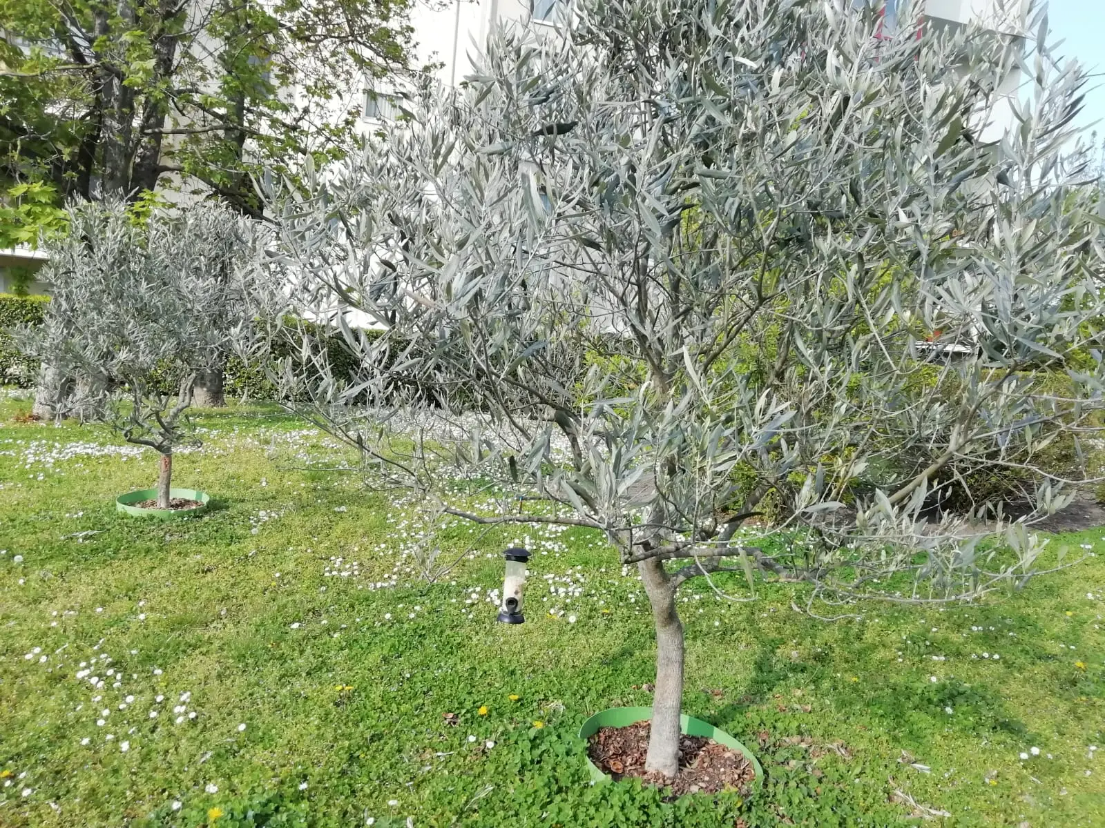 Odori molesti in casa o in giardino? Ecco il metodo ufficiale per misurare il fastidio e denunciarli