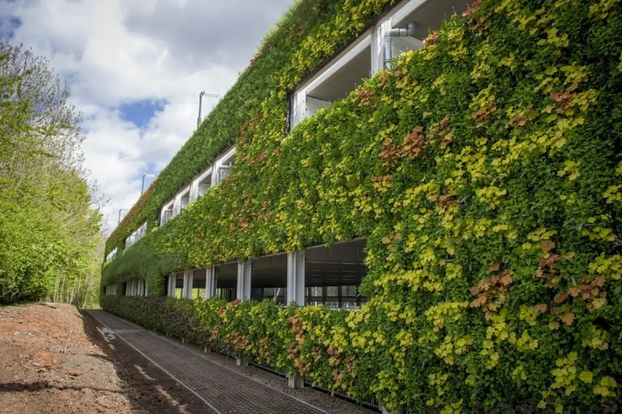 Il costo sorprendente di un giardino verticale: ecco la cifra reale al metro quadro