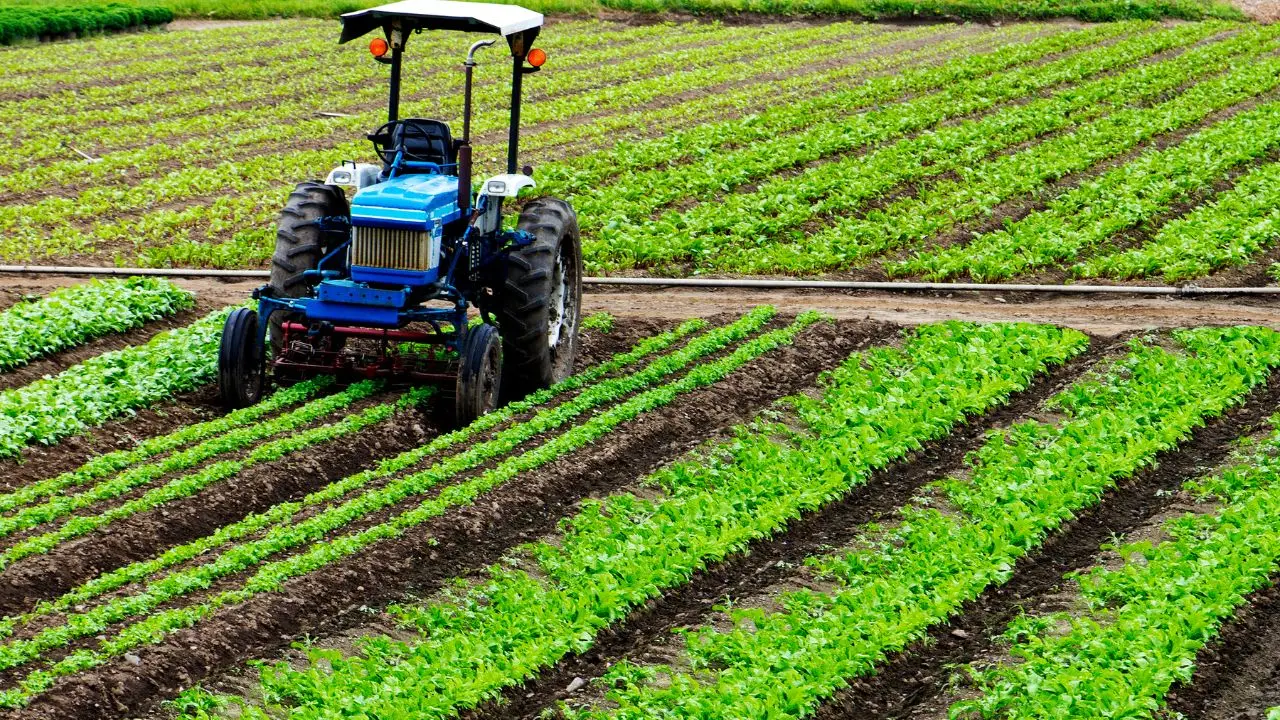 L’agricoltura del futuro è già qui: ecco le nuove tecnologie sorprendenti che stanno rivoluzionando i campi