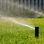 Non annaffiare il prato nelle ore calde: ecco cosa succede davvero all’erba