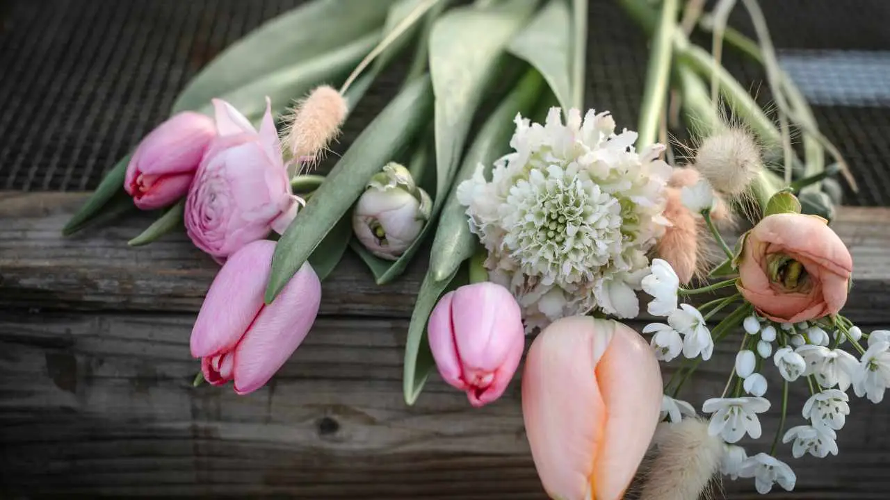 Non comprare i soliti fiori: ecco le varietà spettacolari che resistono al sole e abbelliscono il balcone