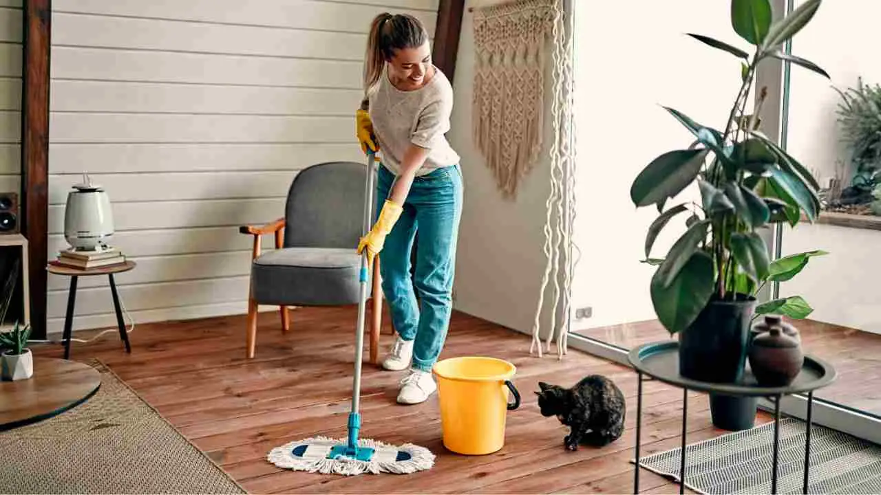 Quali sono le cose da pulire in casa ogni giorno? La routine di 15 minuti per un ordine costante