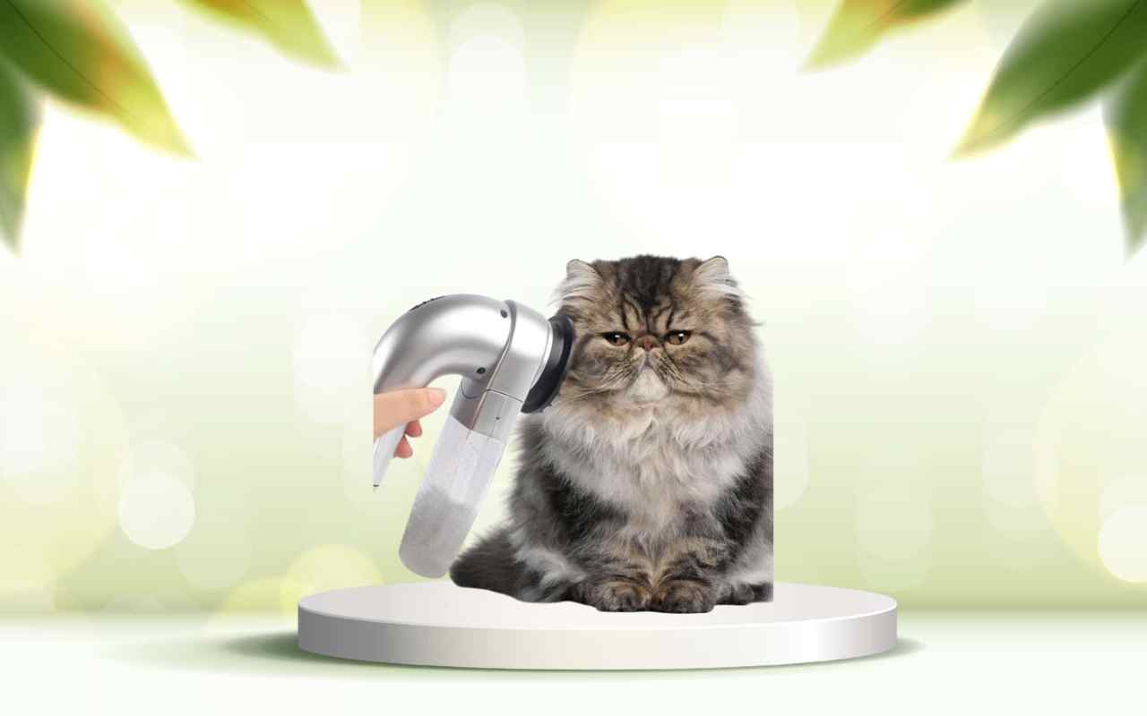 Scopri SpazzolAmica: elimina i peli degli animali e pulisci casa facilmente